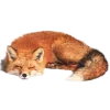 Sticker 🤩 Лисы 
tg: @IconIllusions
