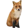 Sticker 🤩 Лисы 
tg: @IconIllusions