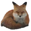 Sticker 🤩 Лисы 
tg: @IconIllusions
