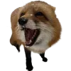 Sticker 🤩 Лисы 
tg: @IconIllusions