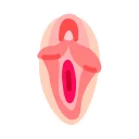 Video sticker 💋 Vaginas