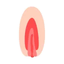Telegram sticker 💋 Vaginas