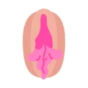 Telegram sticker 💋 Vaginas