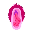 Telegram sticker 💋 Vaginas