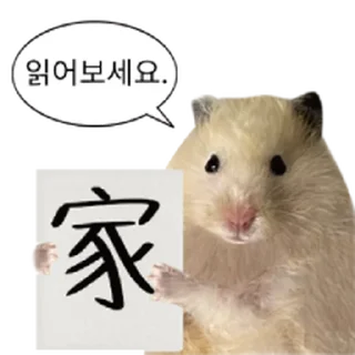 Telegram stiker ⭐ 햄생 2회차 햄스터 @moe_sticker_bot