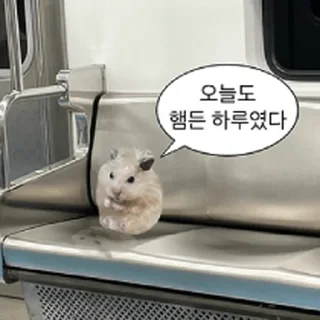 Telegram stiker ⭐ 햄생 2회차 햄스터 @moe_sticker_bot