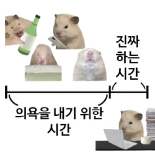 Telegram stiker ⭐ 햄생 2회차 햄스터 @moe_sticker_bot