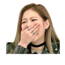 Video sticker 😭 blackpink