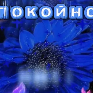 Video sticker 😴 Больше стиков тут: @stikery4