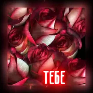 Video sticker 😍 Больше стиков тут: @stikery4