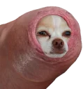 Sticker 😂 Penis