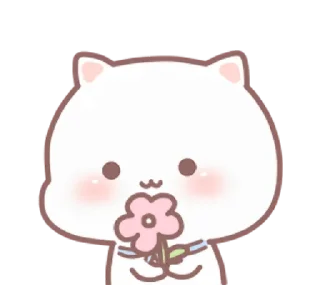 Video sticker 💗 cuties xixi @moonlightcastle