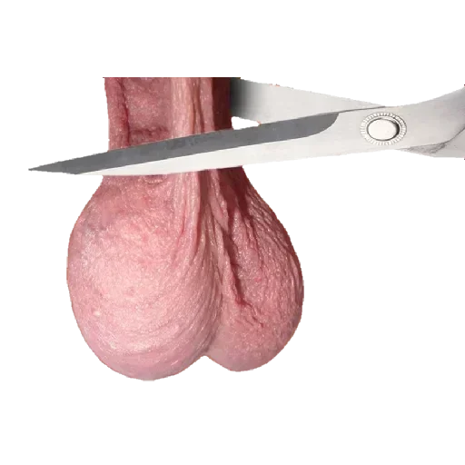 Telegram sticker ✂️ @sexsticker18 4
