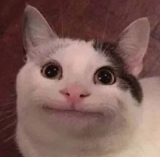 Video sticker 😐 威の贴纸集