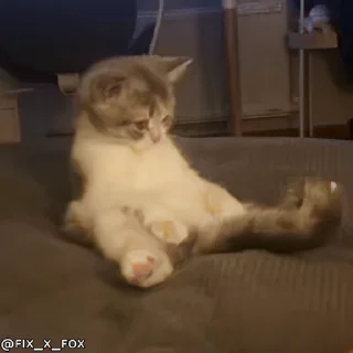 Video sticker 😈 @muhajeeer786