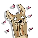 Video sticker 😍 Kuna's