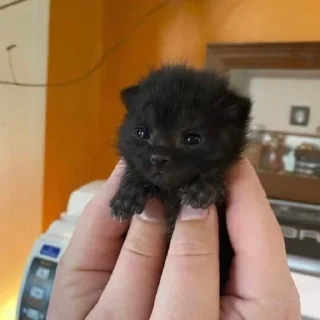 Телеграм стикер 🤏 @lightondrugs