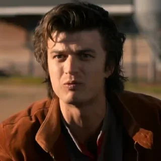 Video sticker 😏 стив от @sttikfd ➡️ @Ctikerubot