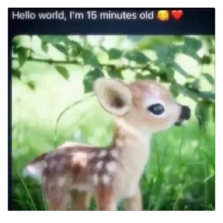 Video sticker 🫥 mffgg