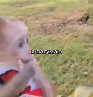 Video sticker 🤔 Больше стиков тут: @stikery4