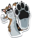 Telegram sticker 🐾 Huscoon by Tirrel