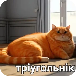 Video sticker 🤩 Катысасалдо @mayakovskyu @TgEmodziBot