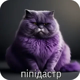 Video sticker 👍 Катысасалдо @mayakovskyu @TgEmodziBot