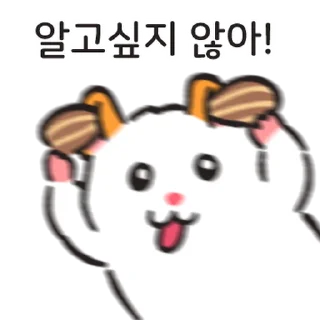 Video sticker ⭐ 호로록 리얼 주황귀 찍찍잉 @moe_sticker_bot