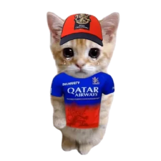 Телеграм стикер 🧢 HaaRCB