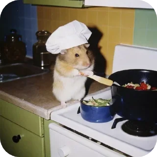 Video sticker 🐱 @sweetyfamily27 hamsters