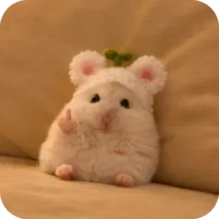 Telegram sticker 🧸 @sweetyfamily27 hamsters