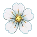 Video sticker 🌸 Sakura Flower