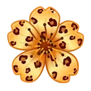 Video sticker 🌸 Sakura Flower