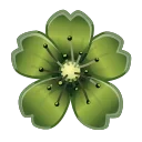 Video sticker 🌸 Sakura Flower