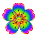 Video sticker 🌸 Sakura Flower