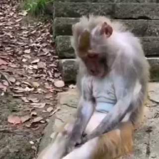 Video sticker 😔 Больше стиков тут: @stikery4