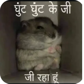 Telegram stiker 👍 NAAM MEIN KYA RAKHA HAI... CHUP CHAP STICKER DEKHO
