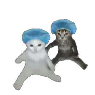 Video sticker 💃 @Rizzky - 【 Cogan 】