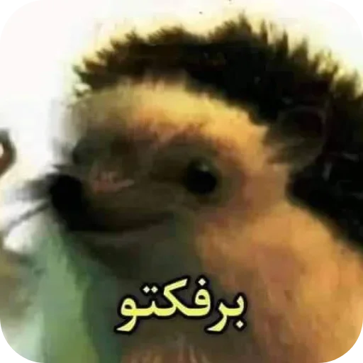 Telegram stiker 🐶 @Amar098Ali