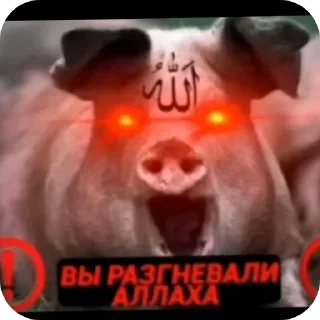 Sticker 👍 Аллах