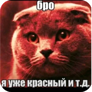 Telegram stiker 🤬 Аллах