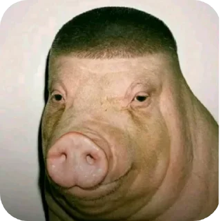 Telegram stiker 🐷 Аллах