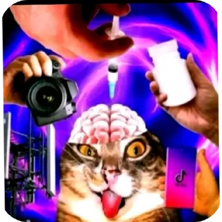 Telegram stiker 😵‍💫 Аллах