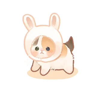 Telegram sticker 🐰 кошьк