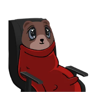 Video sticker 😁 steadytest