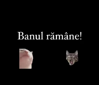 Video sticker 🔐 Moonlight - @MoonlightRomania