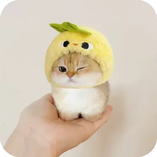 Sticker 🐦 Котики