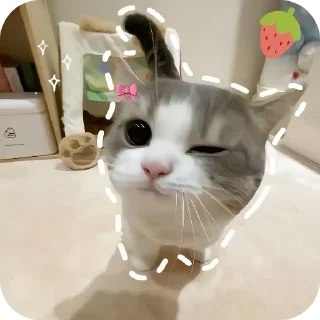 Telegram sticker 🐱 Котики