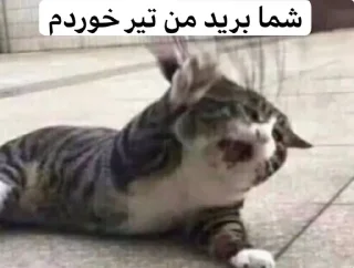 Telegram sticker 😒 Man/To