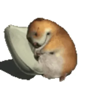 Telegram sticker 🐦 Гумно